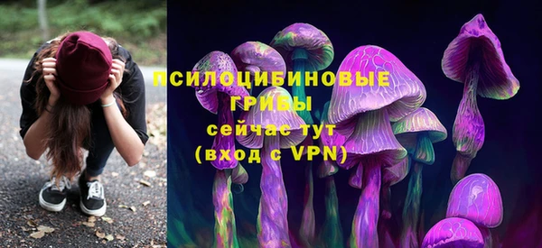 герыч Россошь