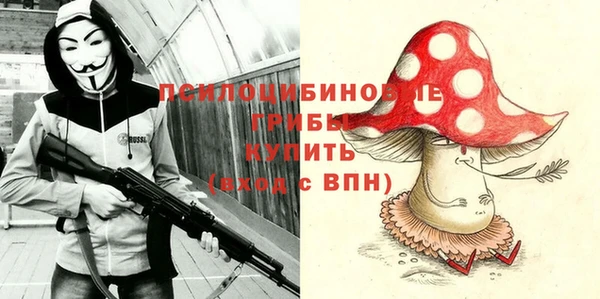 бошки Армянск