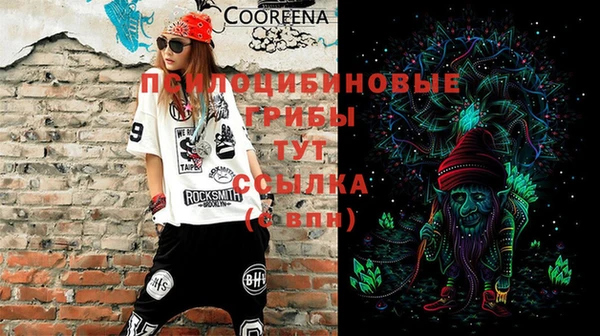 винт Арсеньев