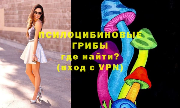 бошки Армянск